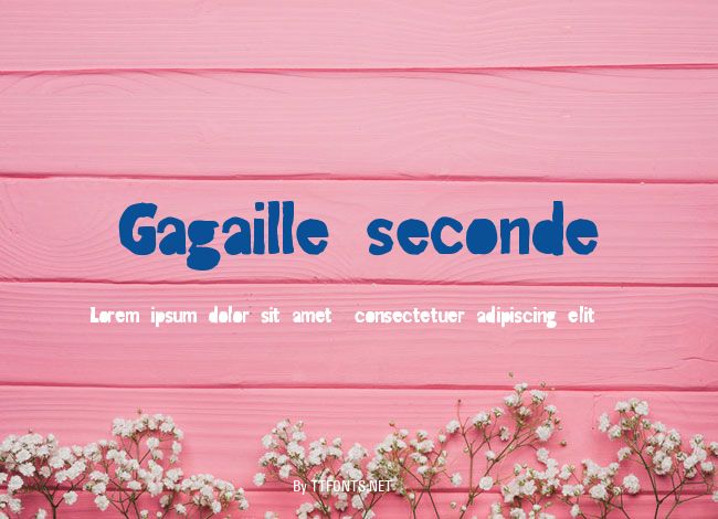 Gagaille seconde example
